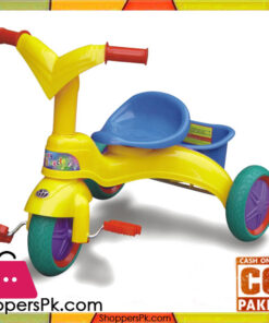Funny Tricycle 5310 for Kids