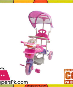 Tricycle With Pedal and Footrest