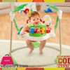Fisher Price Jumperoo Rainforest in Pakistan