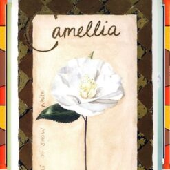 Flower Painting Print with Frame 11 - 9.5x14.5 Inch