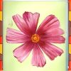 Flower Painting Print with Frame 13 - 12x12 Inch