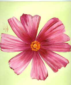 Flower Painting Print with Frame 13 - 12x12 Inch