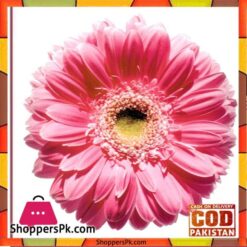 Flower Painting Print with Frame 21 - 12x12 Inch