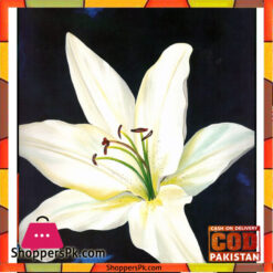 Flower Painting Print with Frame 22 - 14x14 Inch