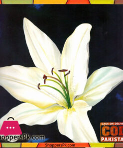 Flower Painting Print with Frame 22 - 14x14 Inch