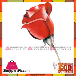 Flower Painting Print with Frame 5 - 11x14 Inch