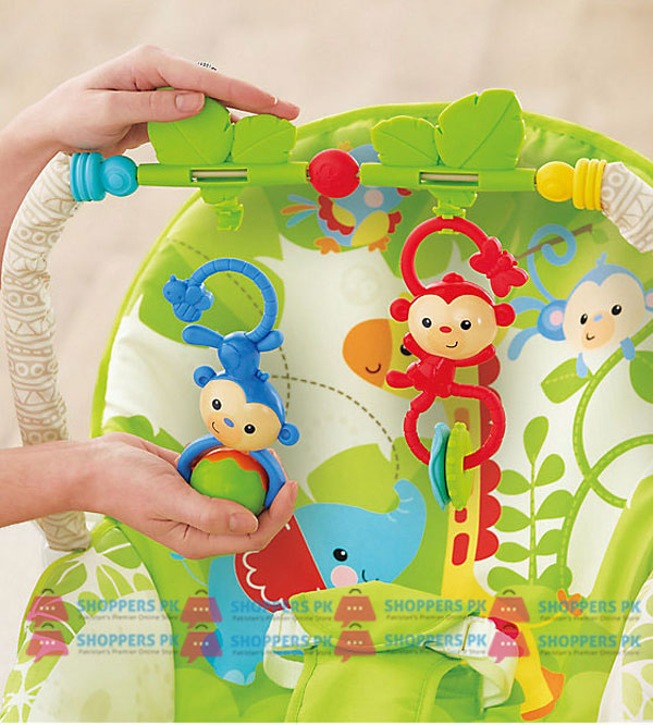 Infant-To-Toddler Rocker