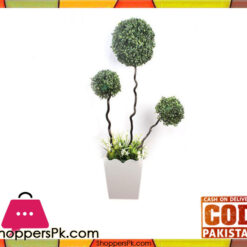 The Florist Luxury Artificial Imported Bonsai Ball Rubber Plant with Pot - 1