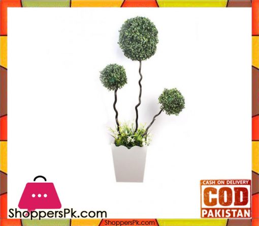 The Florist Luxury Artificial Imported Bonsai Ball Rubber Plant with Pot - 1
