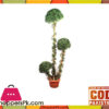 The Florist Luxury Bonsai Mushroom Plant Living Room - 4