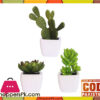 The Florist Artificial Plant With Small Pots - 3 Pieces Set - Fl79