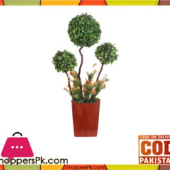 The Florist Artificial Premium Imported Bonsai Ball Rubber Plant with Pot- FL119