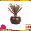 The Florist Artificial Cactus Plant With Pot - Fl47