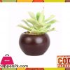 The Florist Artificial Cactus Plant with Pot - FL48