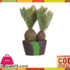 The Florist Pineapple Cactus Arrangement Plant with fibre Pot - FL51