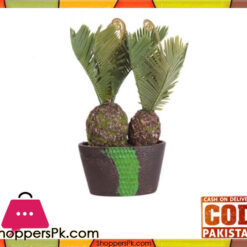 The Florist Pineapple Cactus Arrangement Plant with fibre Pot - FL51