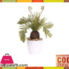 The Florist Kangi Cactus Arrangement With White Pot - Fl52 2 The Florist Kangi Cactus Arrangement With White Pot - Fl52