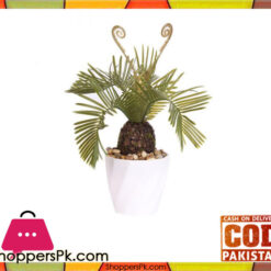 The Florist Kangi Cactus Arrangement with White Pot - FL52