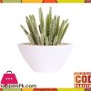 The Florist Dessert Cactus Arrangement with White Melamine Pot - FL53