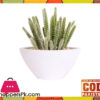 The Florist Dessert Cactus Arrangement With White Melamine Pot - Fl53