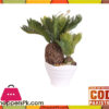 The Florist Pineapple Cactus Arrangement With White Pot - Fl54