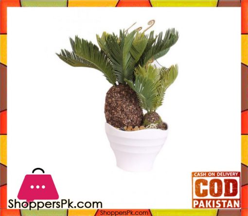 The Florist Pineapple Cactus Arrangement with White Pot - FL54