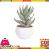 The Florist Artificial Cactus Plant with Pot - FL69