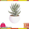 The Florist Artificial Cactus Plant With Pot - Fl69 1 The Florist Artificial Cactus Plant With Pot - Fl69