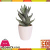 The Florist Artificial Cactus Plant With Pot - Fl73
