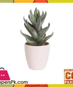 The Florist Artificial Cactus Plant with Pot - FL73