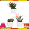 The Florist Artificial Plant With Small Pots - 3 Pieces Set - Fl77