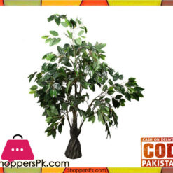 The Florist FLOR16 - Fycus Rubber Palm Tree Arrangement