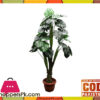 The Florist Rubber Begonia Money Plant Arrangment