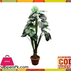 The Florist Rubber Begonia Money Plant Arrangment
