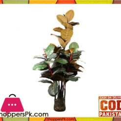 The Florist FLOR22 - Five Branches Rubber Plant