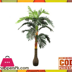 The Florist FLOR20 - Drazenia 3 branches Yellow Line Rubber Plant