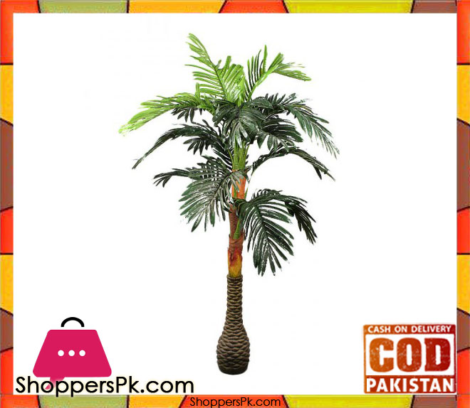 The Florist Flor20 - Drazenia 3 Branches Yellow Line Rubber Plant 3 The Florist Flor20 - Drazenia 3 Branches Yellow Line Rubber Plant