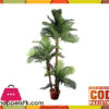 The Florist Flor23 - Rubber Coconut Chaal Plant