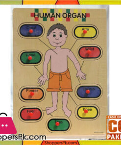 Early Educational Wooden Puzzle Toy Human Organ
