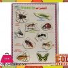 Early Educational Wooden Puzzle Toy Insects