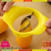 One-Step Mango Cutter
