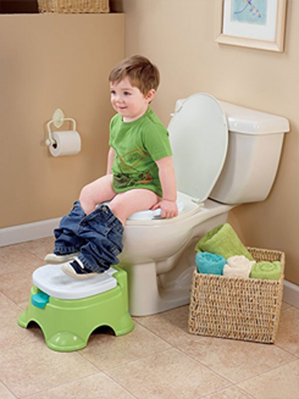 Fisher Price Royal Stepstool Potty Seat