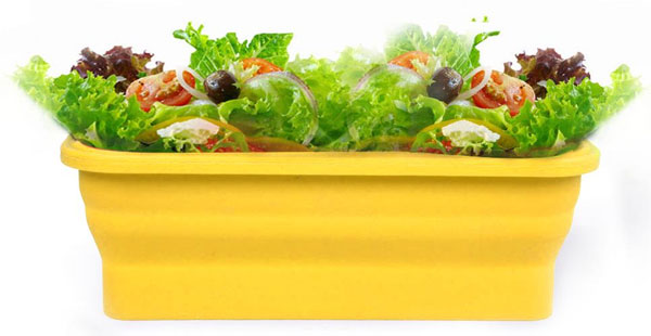 3 Foldable Silicone Folding Food Boxes Storage Containers