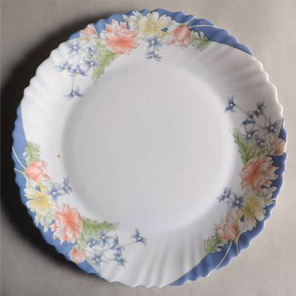 Arcopal Florine 45 Pieces Dinner Set