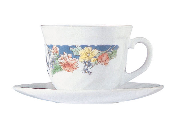 Arcopal Florine 45 Pieces Dinner Set