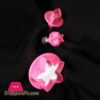 3 Pieces Decorating Plunger Cutter Flower Leaf Star