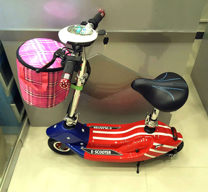 Electric Scooter 24-V Folding 2 Wheel