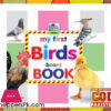 My First BIRDS Board Book 6.5 Inch