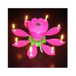 Ingenious Gadgets Happy Birthday Candle With Music &Amp; Magical Sparklers With Free Internal Battery - Large Pink Flower
