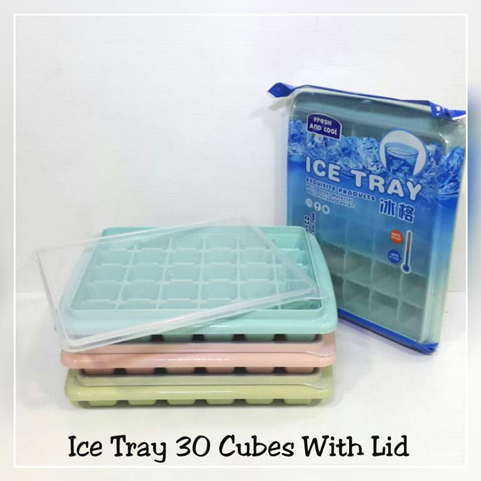 Ice Tray 30 Cubes with Lid